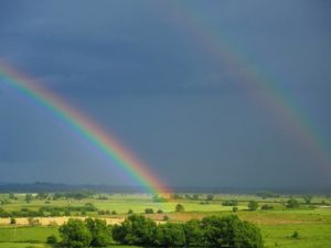 Picture taken by Sarah Bullock at a previous Healing Birth Wounds Workshop. A symbol of hope and renewal